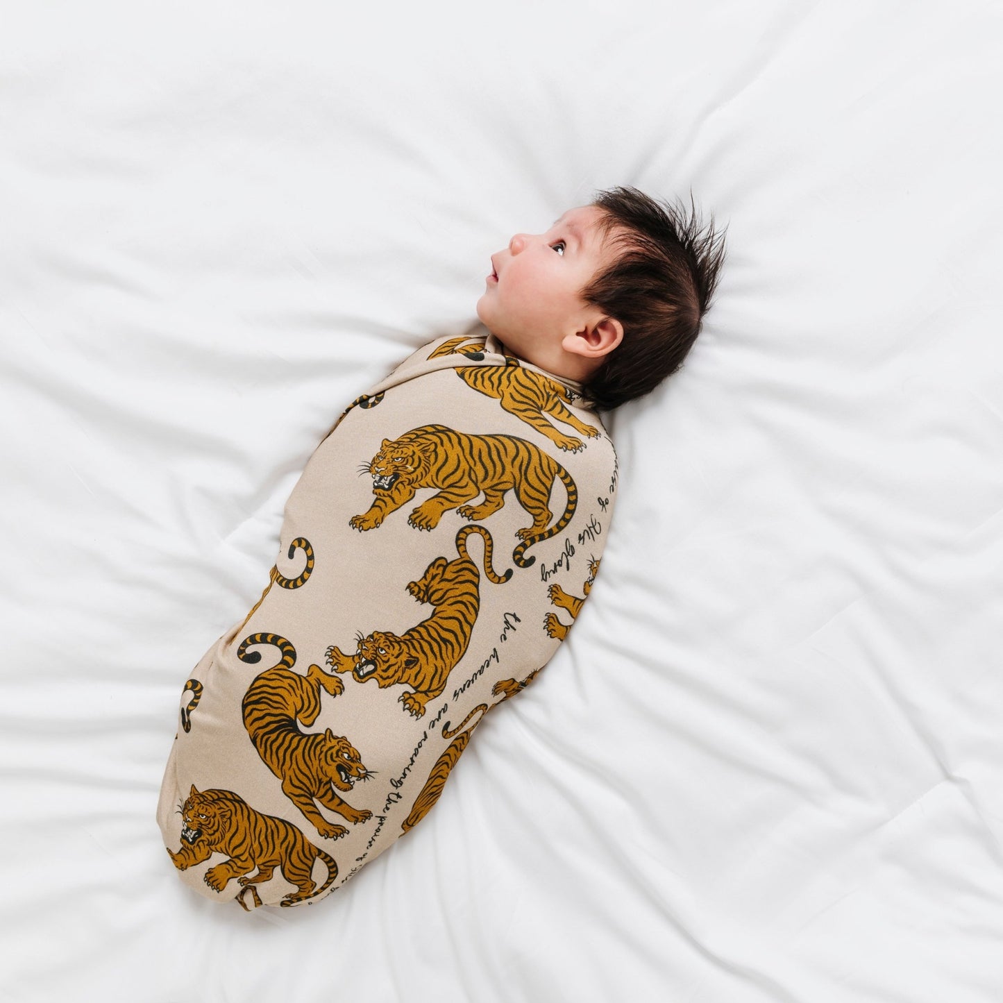 Roar Stretch Swaddle BlanketStretch Swaddle BlanketEllie Sue