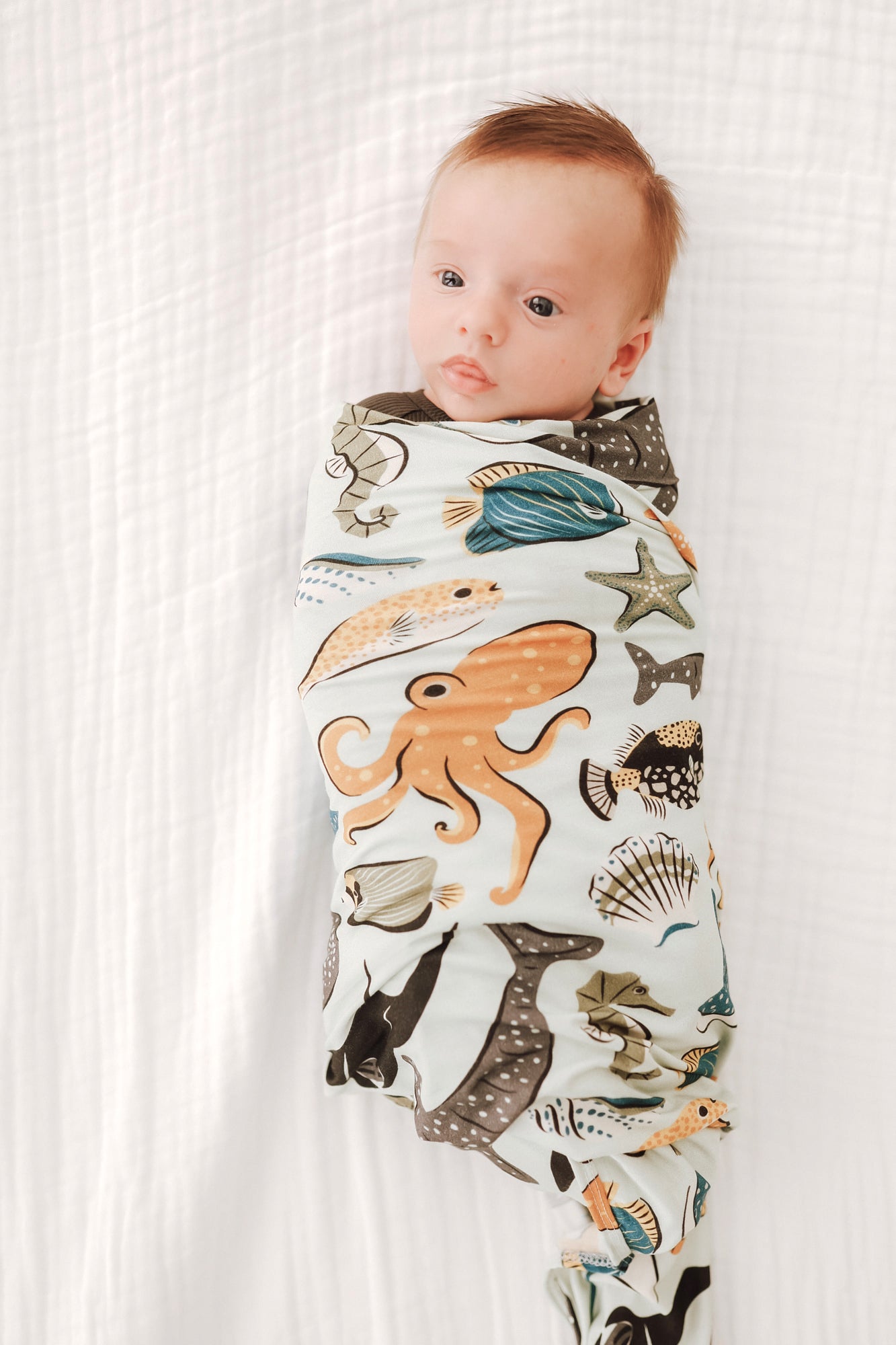 Seabound Stretch Swaddle BlanketStretch Swaddle BlanketEllie Sue