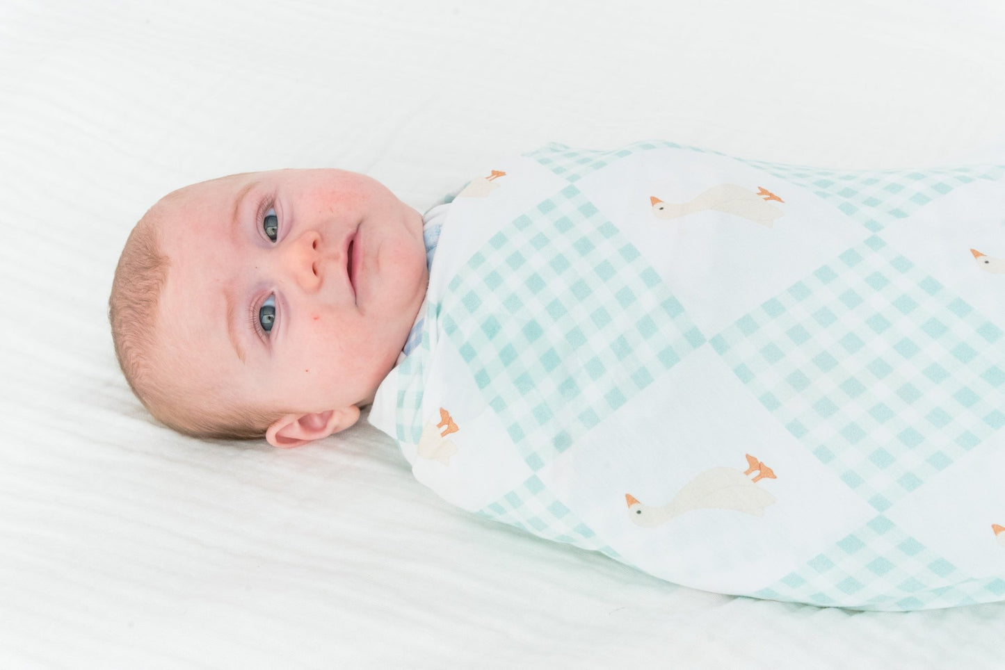 Wesley Stretch BlanketStretch BlanketEllie Sue