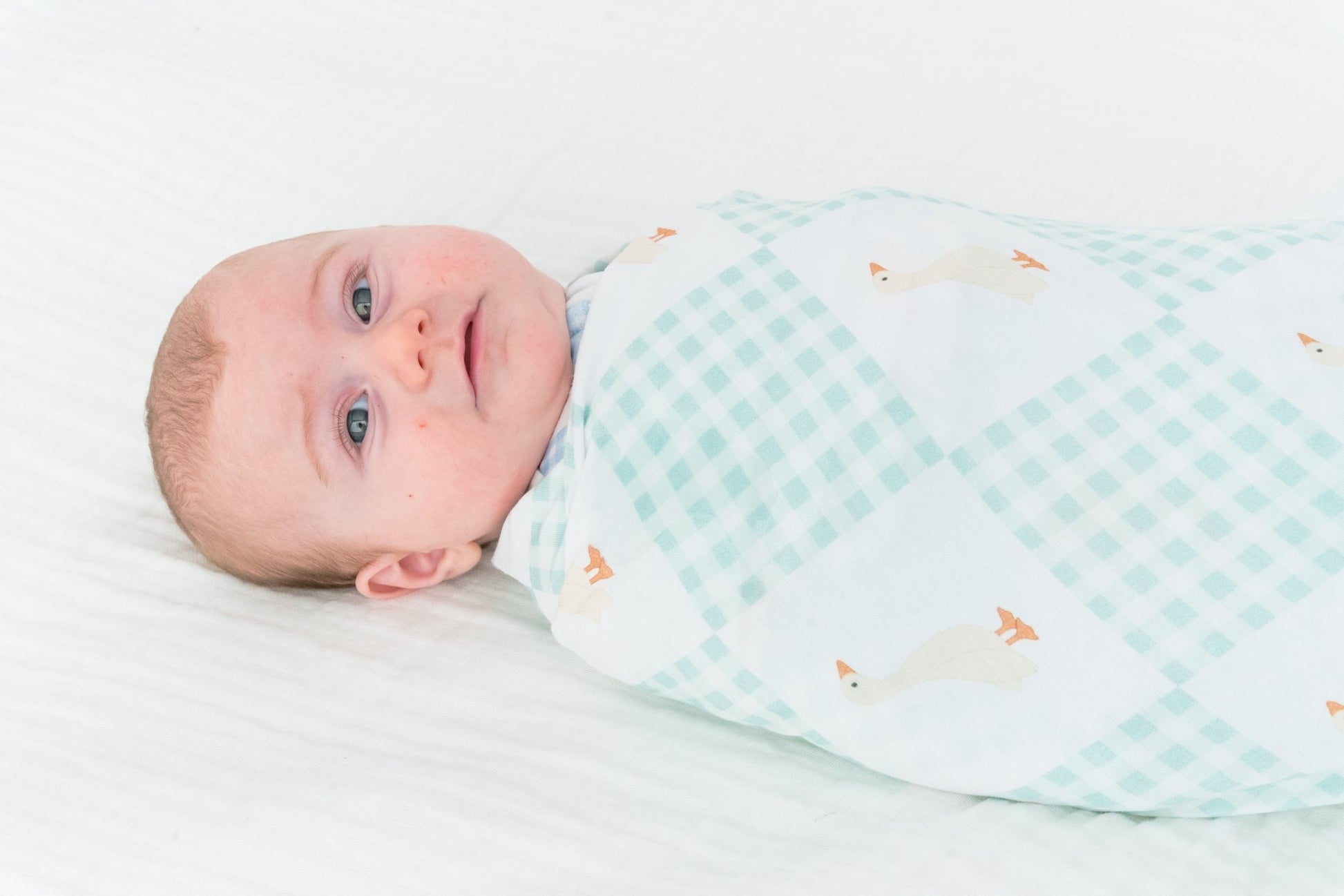 Wesley Stretch BlanketStretch BlanketEllie Sue