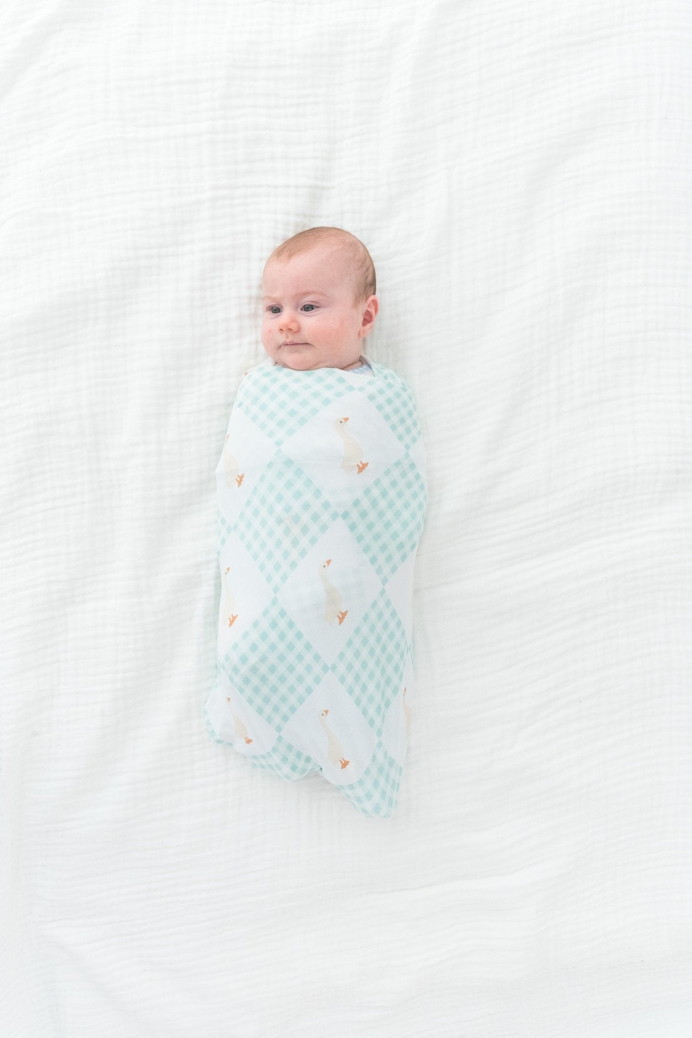 Wesley Stretch BlanketStretch BlanketEllie Sue